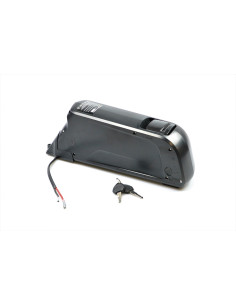 Køb 16 Ah delfin elcykel batteri billigst her | Pris 3999.  Fri fragt