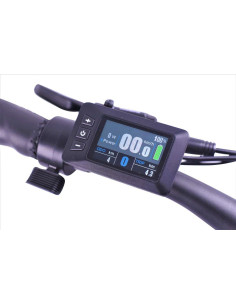 KD218 LCD farvedisplay til Strømstad flex / reflex - Julet